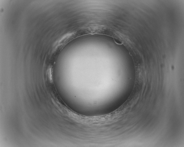 X0000065230042200602171410