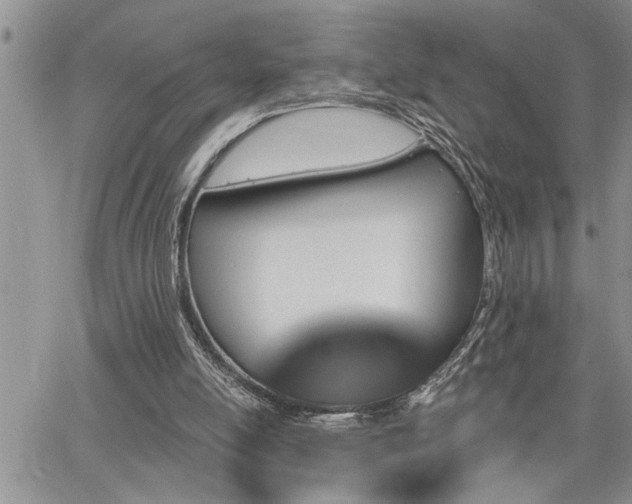 X0000065230054200602171409