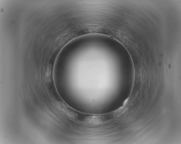 X0000065230082200602171409