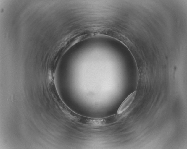 X0000065230089200602171409