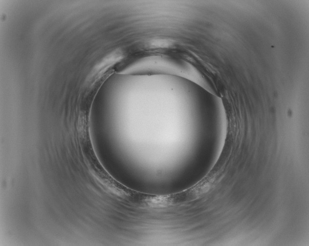 X0000065230092200602171409