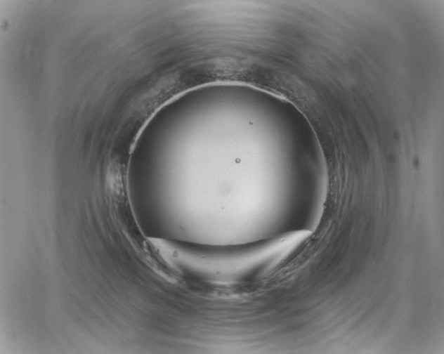 X0000065230137200602171408