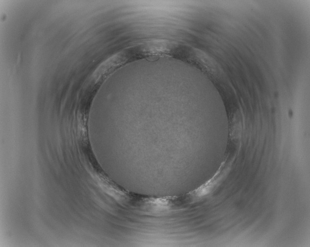 X0000065230140200602171408