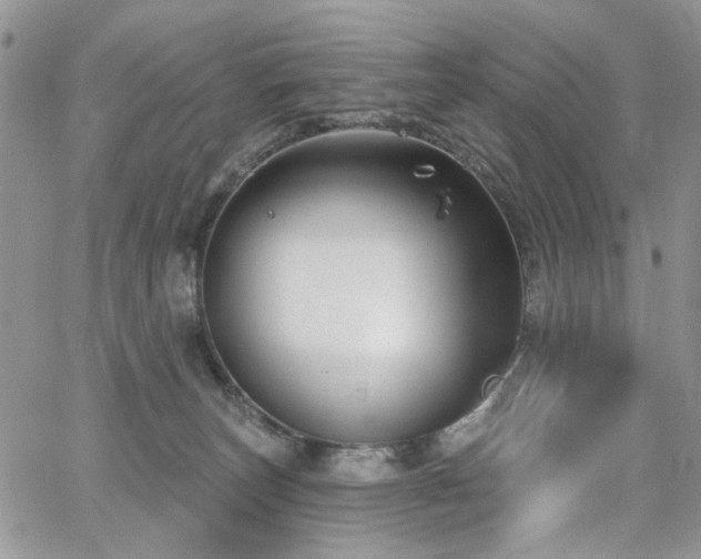X0000065230179200602171408