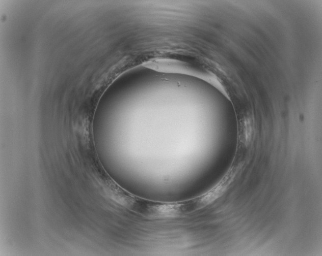 X0000065230184200602171408