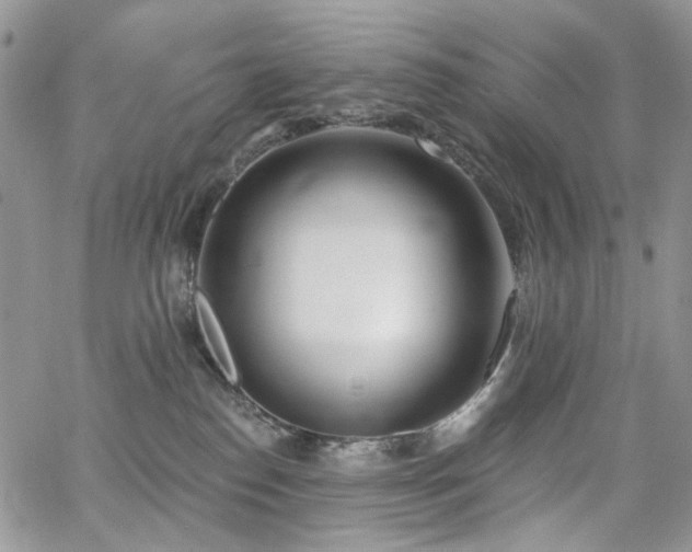 X0000065230186200602171408