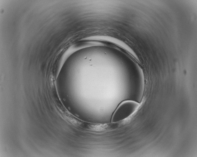 X0000065230191200602171408