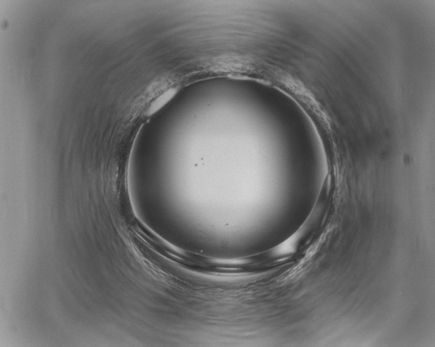 X0000065230201200602171407