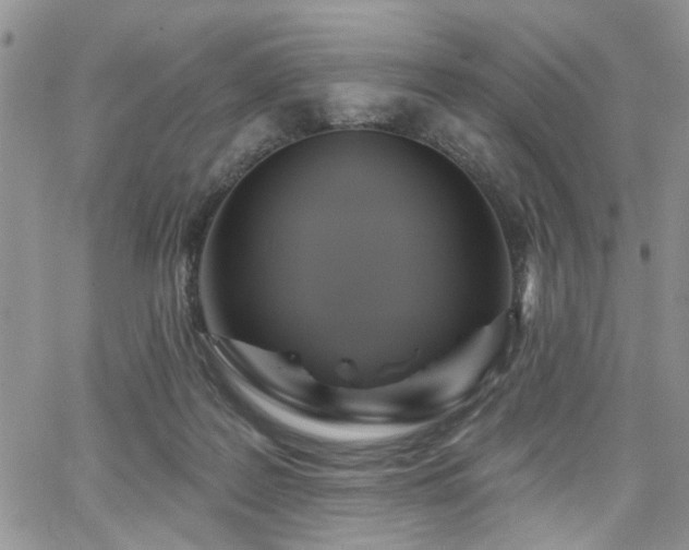 X0000065230219200602171407