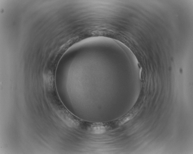 X0000065230228200602171407