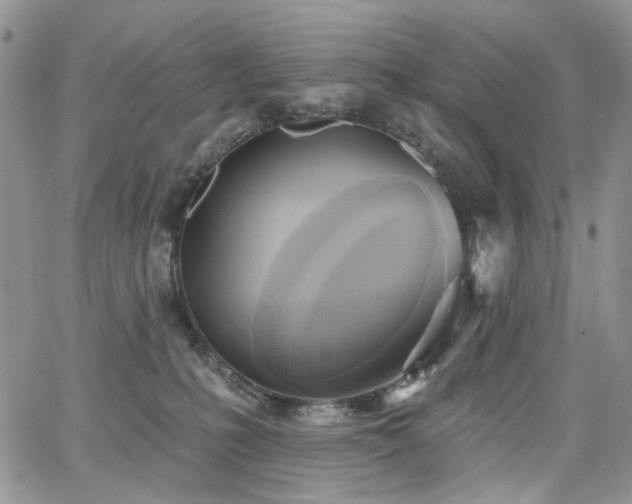 X0000065230231200602171406