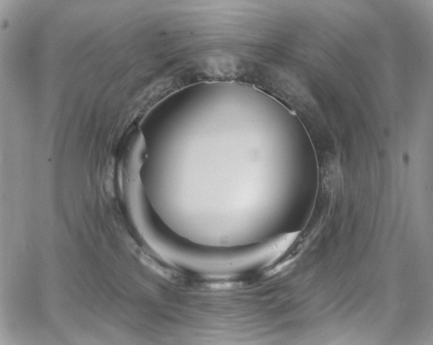 X0000065230233200602171406
