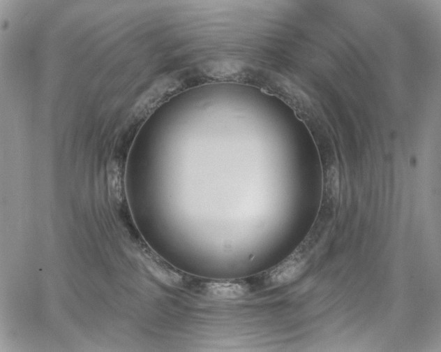 X0000065230234200602171406