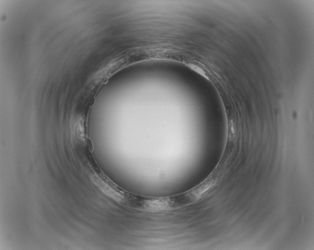 X0000065230238200602171406