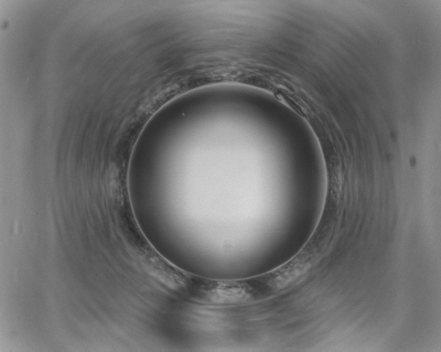 X0000065230270200602171406