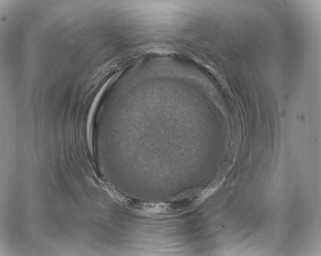X0000065230288200602171406
