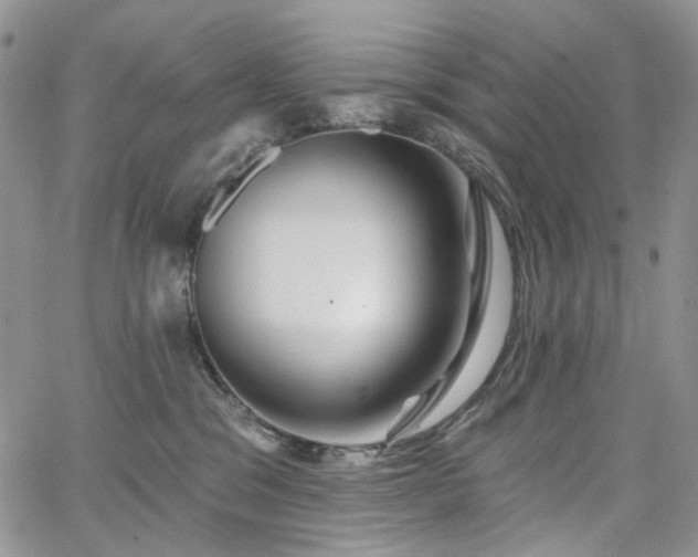 X0000065230329200602171405