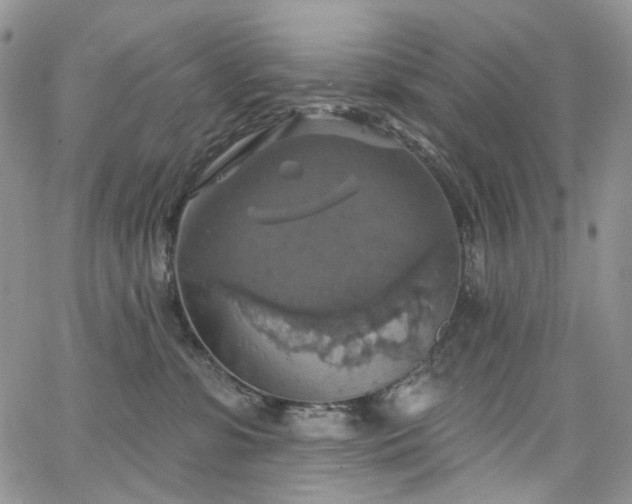 X0000065230331200602171405