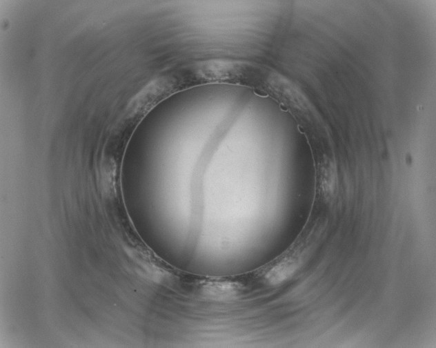 X0000065230332200602171405