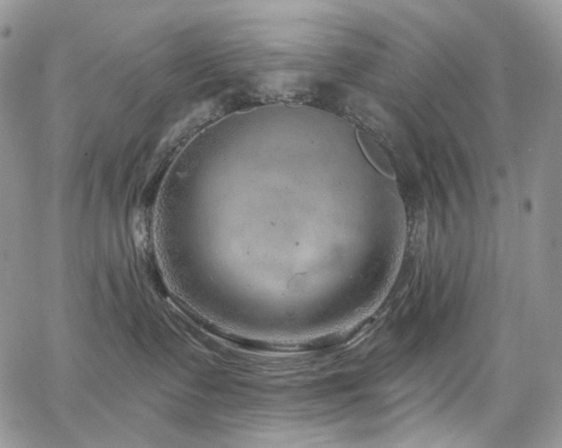 X0000065230335200602171405