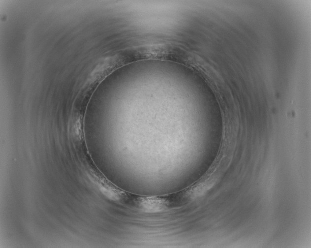 X0000065230336200602171405