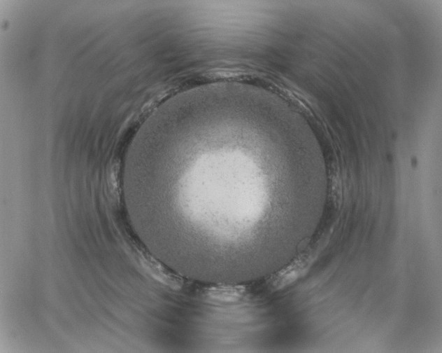 X0000065230373200602171405