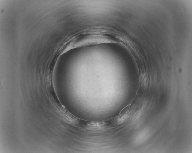 X0000065230381200602171405