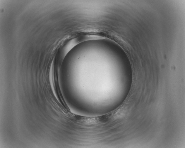 X0000065230384200602171405