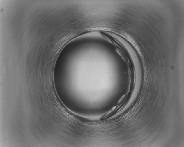 X0000065230385200602171404