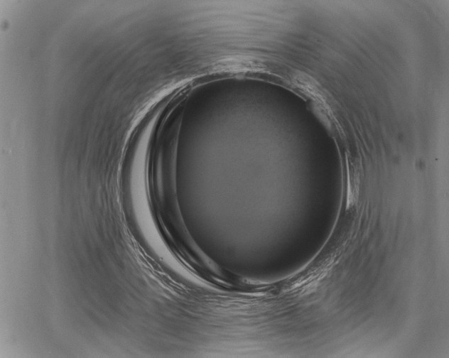 X0000065230387200602171404