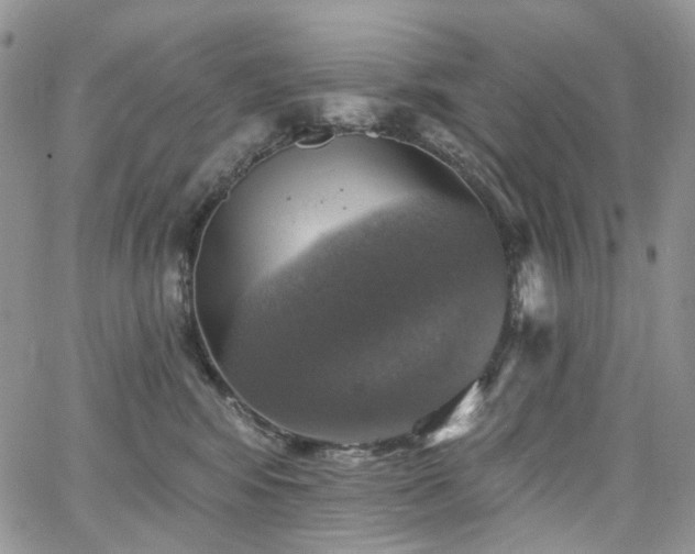 X0000065230424200602171403