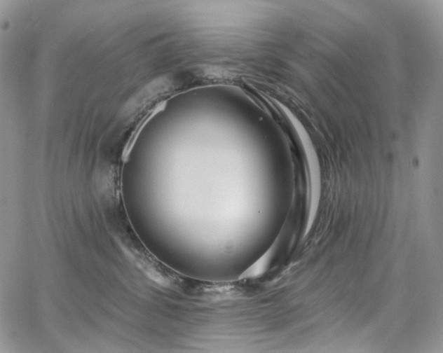 X0000065230428200602171403