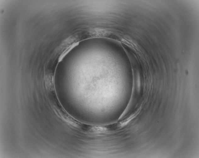 X0000065230429200602171403