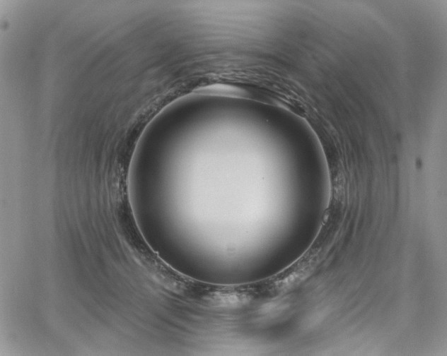 X0000065230464200602171403