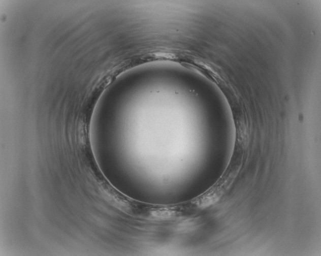 X0000065230470200602171403