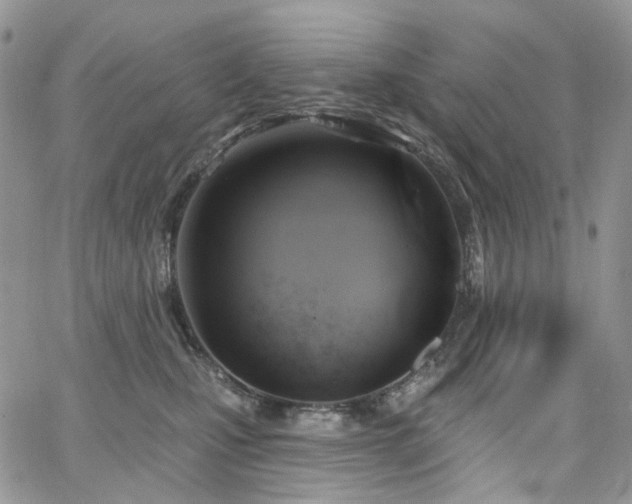 X0000065230471200602171403