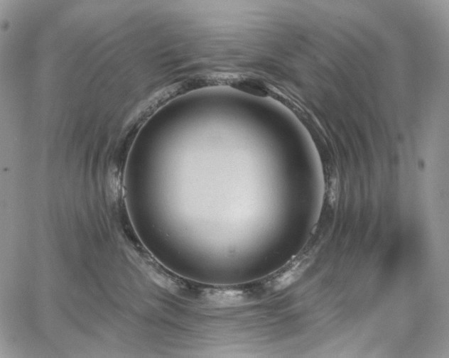 X0000065230476200602171403