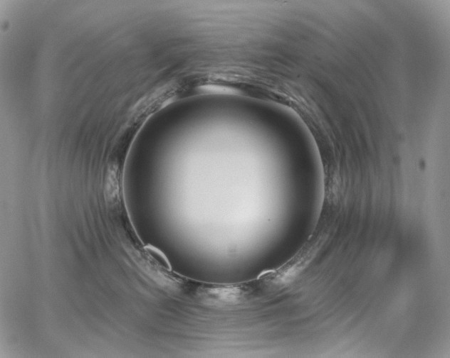 X0000065230478200602171403
