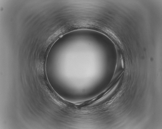 X0000065230489200602171402