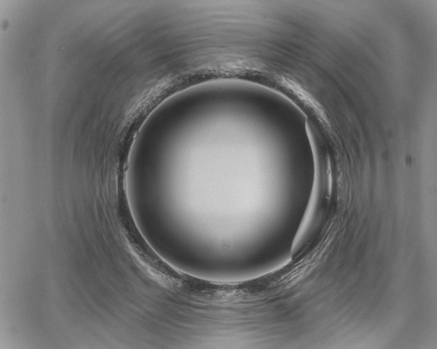 X0000065230493200602171402