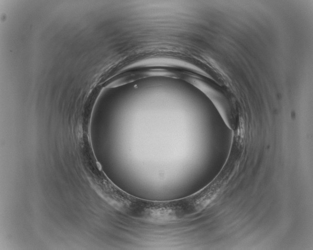X0000065230500200602171402
