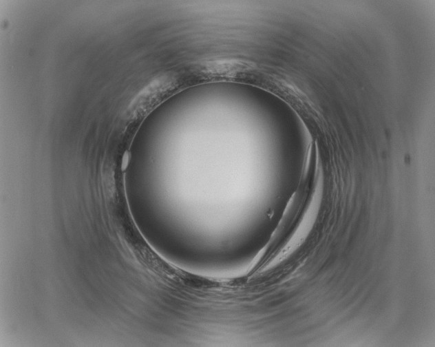 X0000065230504200602171402
