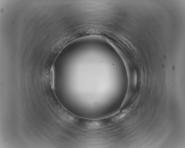X0000065230513200602171402