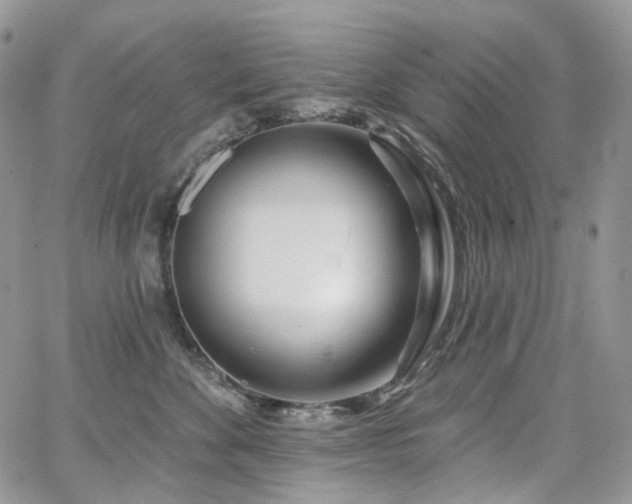 X0000065230524200602171402
