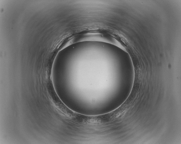 X0000065230546200602171401