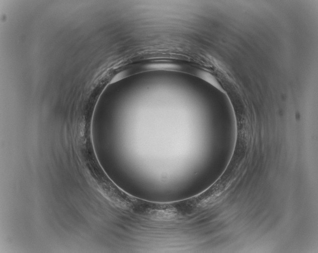 X0000065230548200602171401