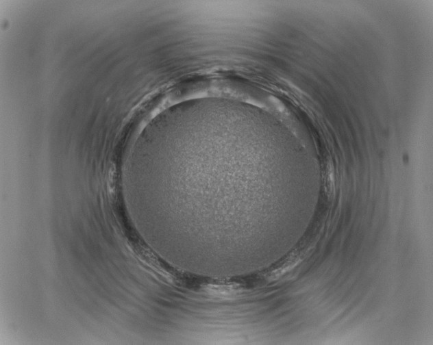 X0000065230556200602171401