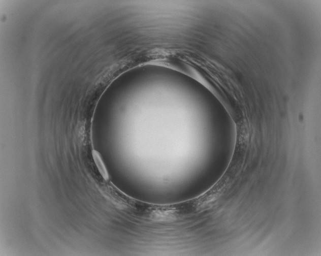 X0000065230560200602171401