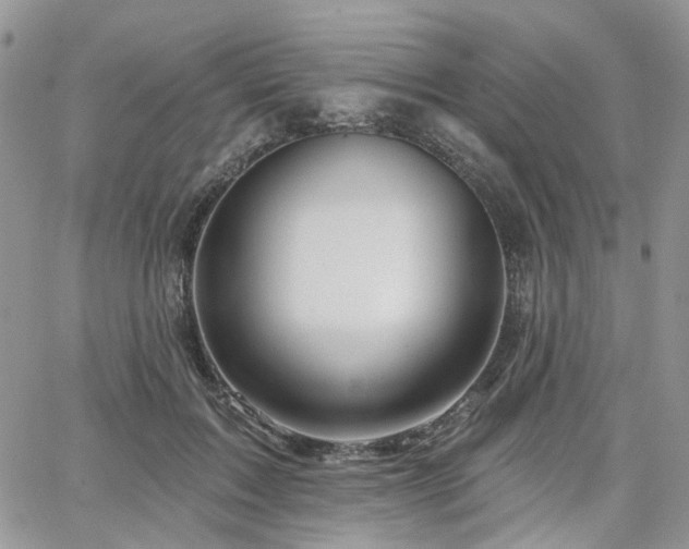 X0000065230603200602171400