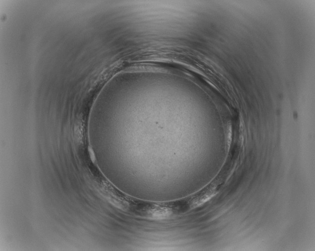 X0000065230604200602171400